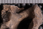 PE 92552a Close up
