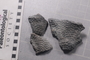 UC 45229_a_fossil2