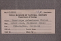 P 10696 Label