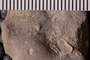 PE 25243b Close up