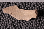 UC 17361b