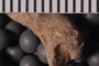 UC 27639a Close up
