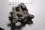 UC _12046_fossil2