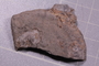 PE 91694_fossil2
