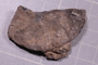 PE 91694_fossil3