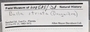 208585 Bulla occidentalis label FMNH IZ