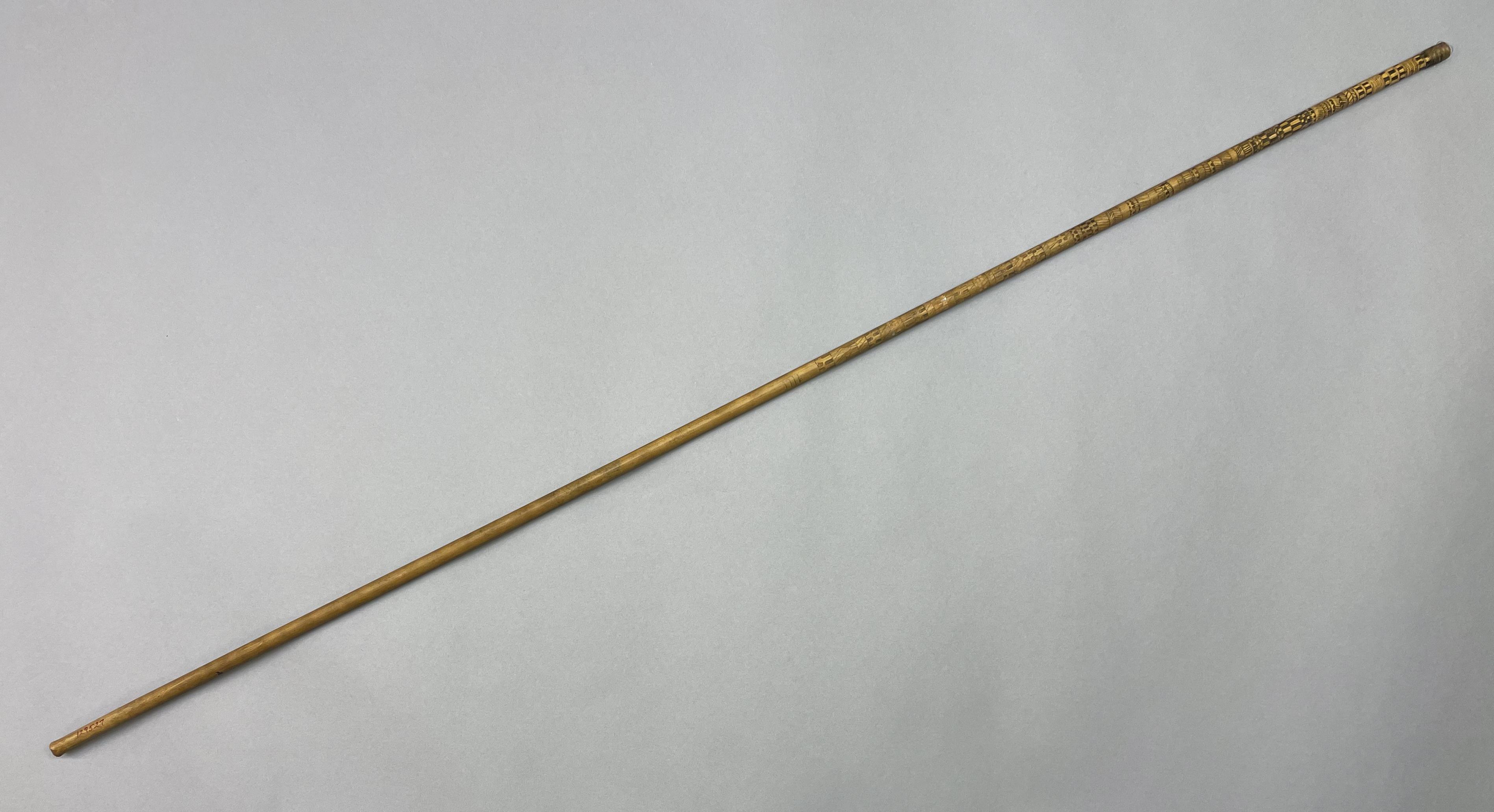 overall view of blowgun 