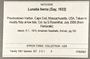 396670 Euspira heros label FMNH IZ