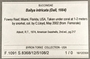 396592 Bailya intricata label FMNH IZ