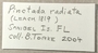 396356 Pinctada radiata label FMNH IZ