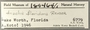 189464 Costoanachis floridana label FMNH IZ