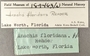 189463 Costoanachis floridana label FMNH IZ