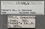 171758 Crepidula plana labels IZ