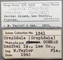 154444 Crepidula maculosa labels IZ