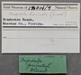 188014 Crepidula fornicata labels IZ