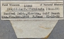 12252 Crepidula fornicata labels IZ