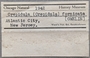 1942 Crepidula fornicata labels IZ