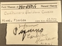 190450 Cardites floridanus label FMNH IZ