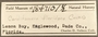 184710 Cardites floridanus label FMNH IZ