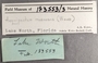 183553 Lindapecten muscosus label FMNH IZ