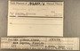 183550 Argopecten gibbus label FMNH IZ