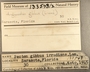 183548 Argopecten gibbus label FMNH IZ