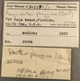 203591 Cryptopecten phrygium label FMNH IZ