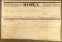 183445 Caribachlamys pellucens label FMNH IZ