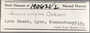 190621 Anomia simplex label FMNH IZ