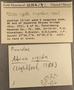 223516 Atrina rigida label FMNH IZ