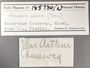185736 Arcopsis adamsi label FMNH IZ