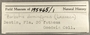 195465 Barbatia domingensis label FMNH IZ