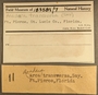 183589 Anadara transversa label FMNH IZ