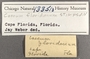 133510 Caecum floridanum label FMNH IZ