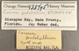 133495 Caecum pulchellum label FMNH IZ