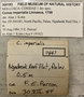 300183 Conus imperialis label FMNH IZ