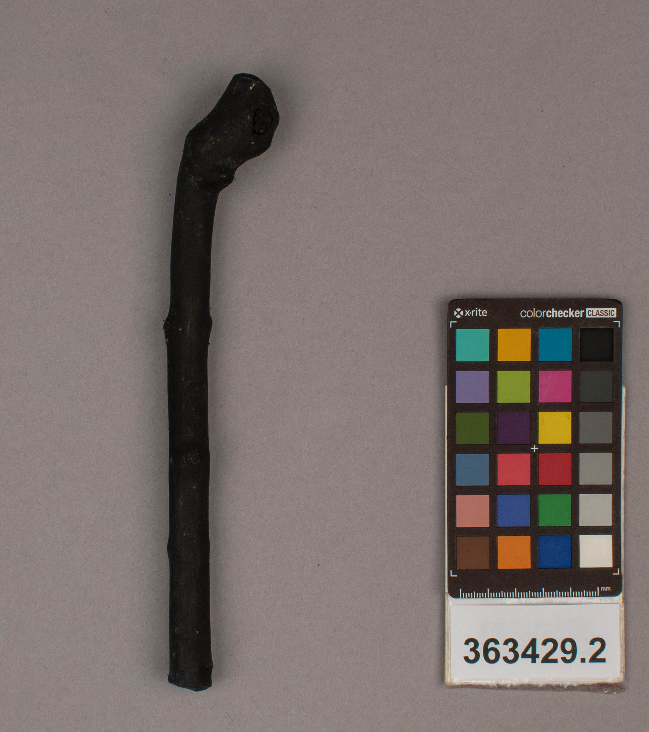 reference image, front view 
