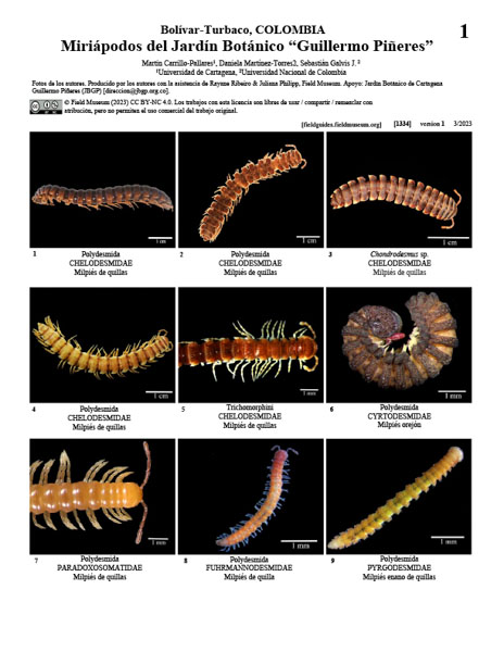 Miriápodes do Jardim Botânico "Guillermo Piñeres"