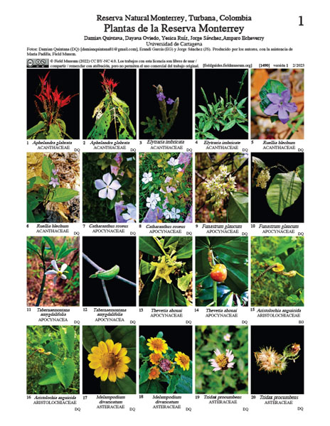 Plantas de la Reserva Monterrey