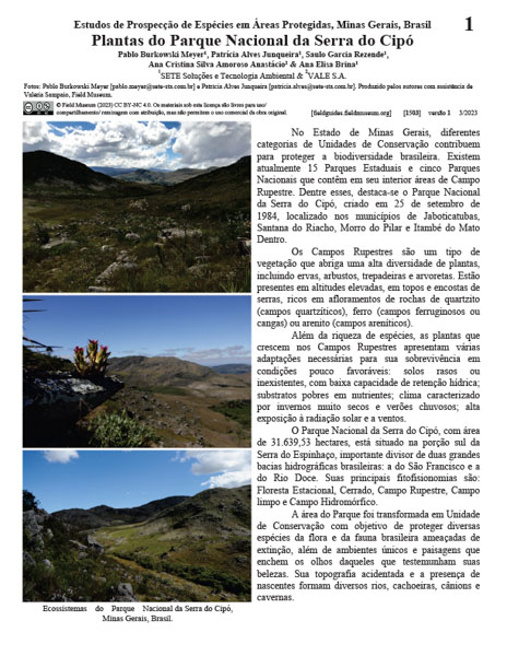 Plants of the Serra do Cipó National Park