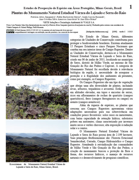 Plantas do Monumento Natural Estadual Várzea do Lajeado e Serra do Raio