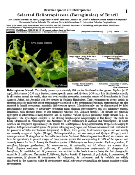 HELIOTROPIACEAE seleccionadas (Boraginales) de Brasil