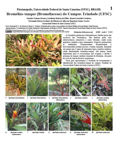 Bromelias de tanque (Bromeliaceae) del Campus Trindade (UFSC)