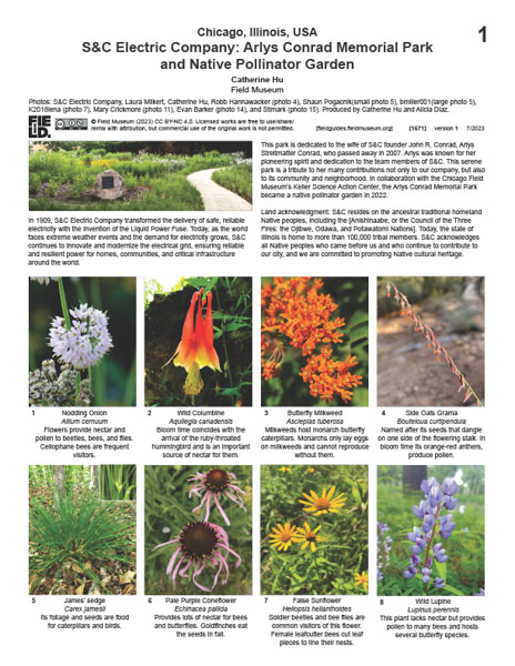 S&C Electric Company: Arlys Conrad Memorial Park and Native Pollinator Garden