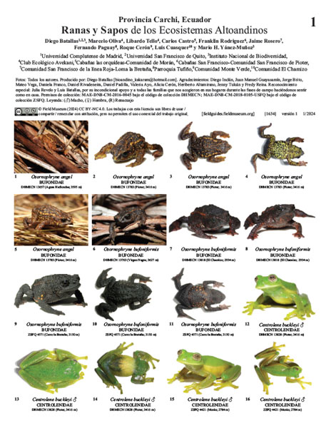 Sapos e Rãs dos Ecossistemas Altosandinos