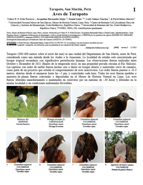 Aves de Tarapoto