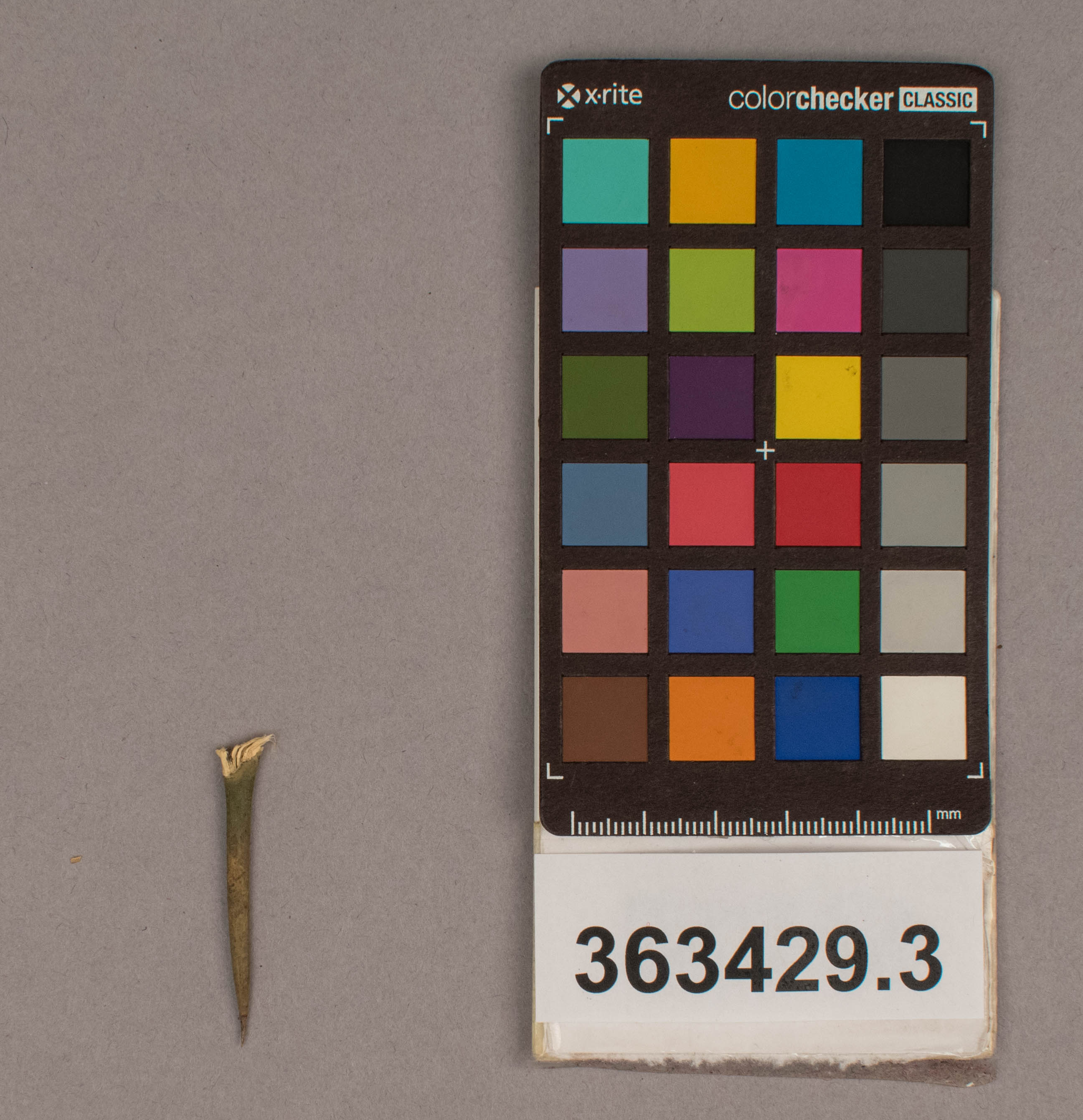 reference image, overall  