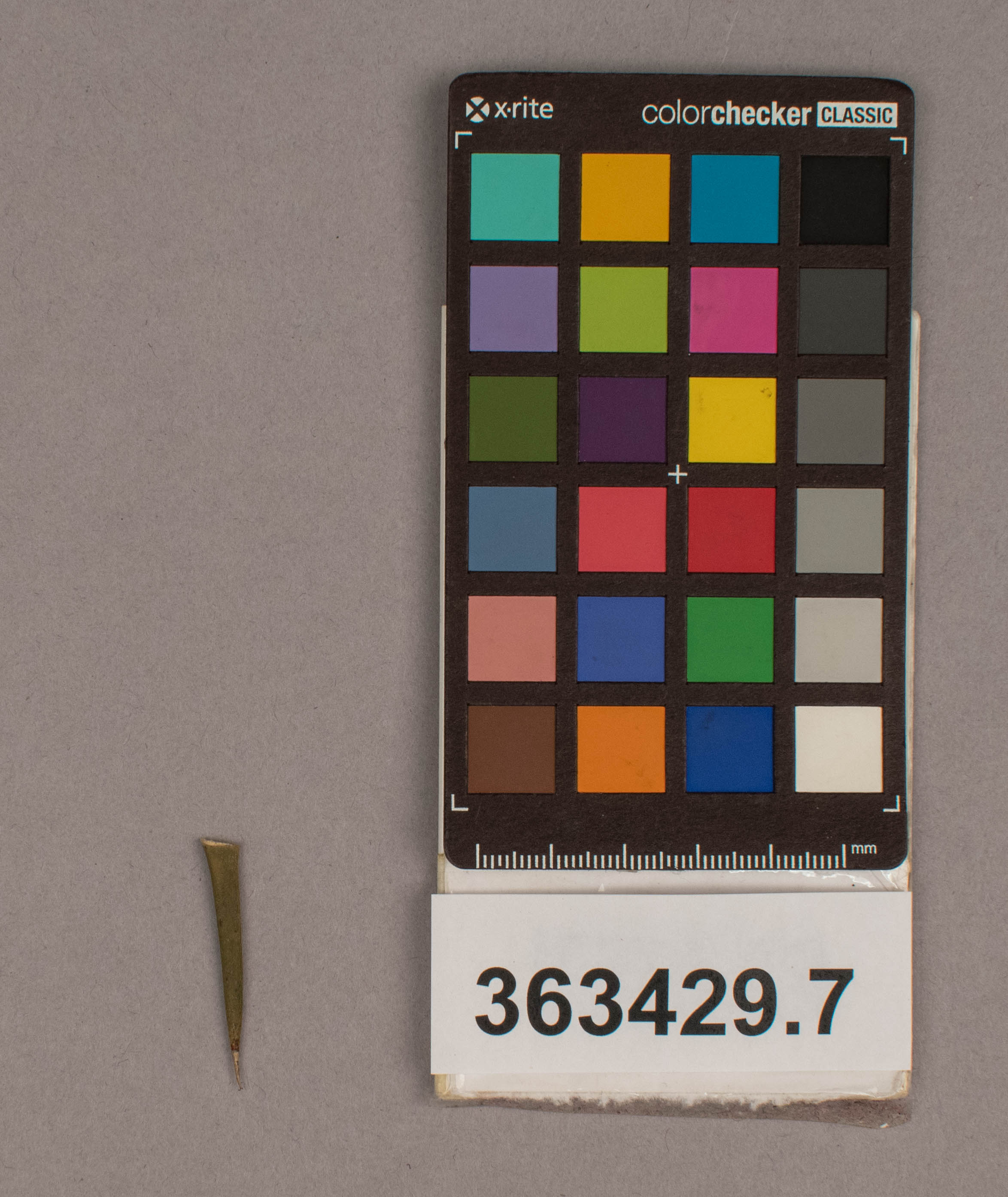 reference image, overall  