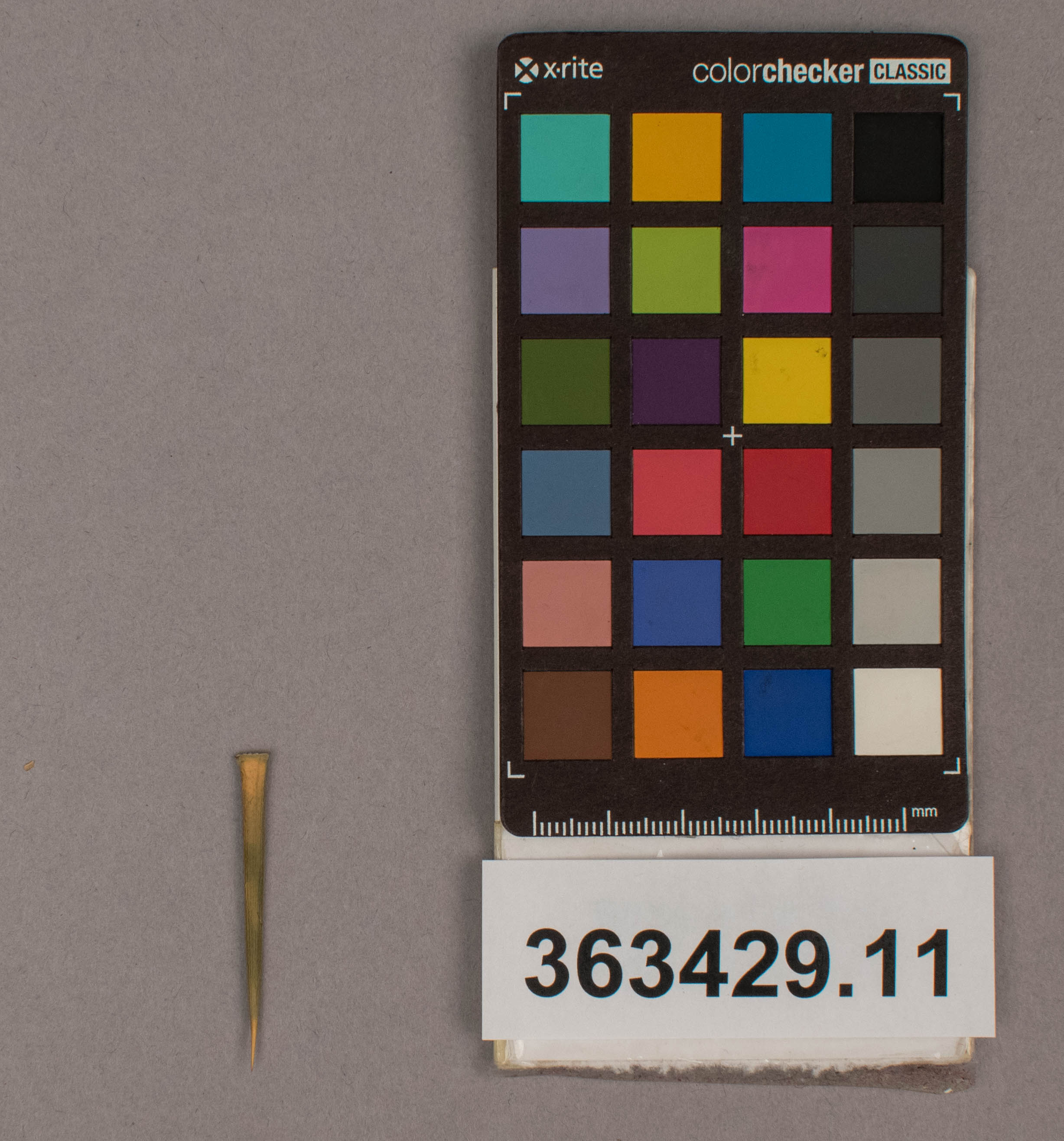 reference image, overall  