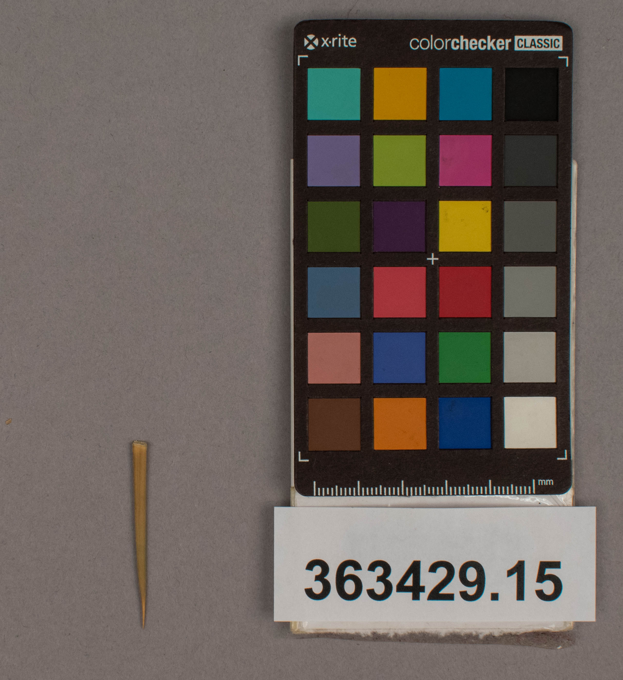 reference image, overall  